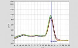 荧光定量PCR，qPCR