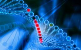 免疫/抗血管药筛选