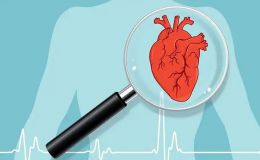 药物心脏毒性评价