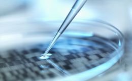 类器官基因检测