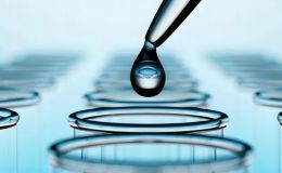 类器官生物标志物检测