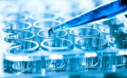 类器官基因检测+生物标志物发掘