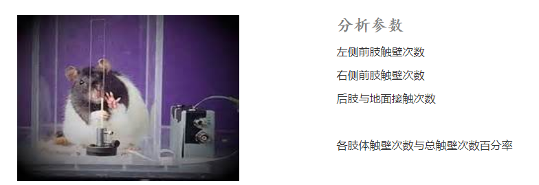 1606974773795208.png image.png
