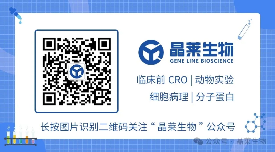 1745203508774977.jpg 尾图.jpg