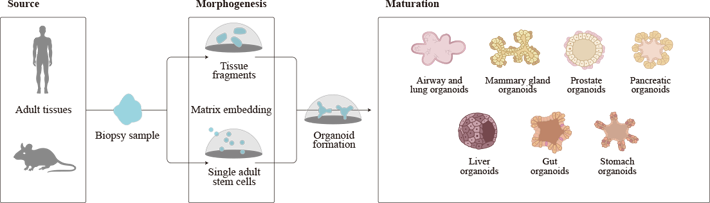 1758007547758743.png 01.png