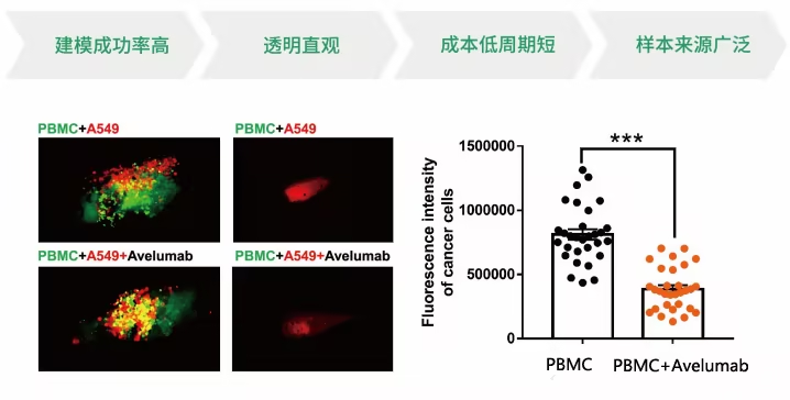 1758007709449395.png 07.png