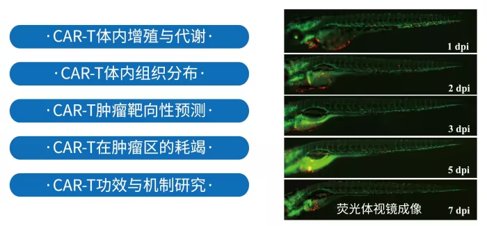 1758007722199342.png 08.png