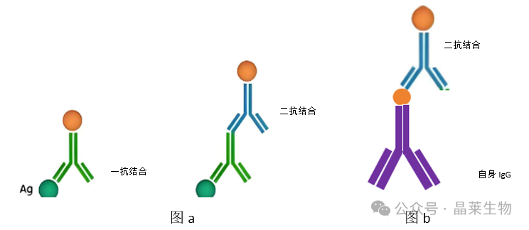 1766973074104378.png 01.png