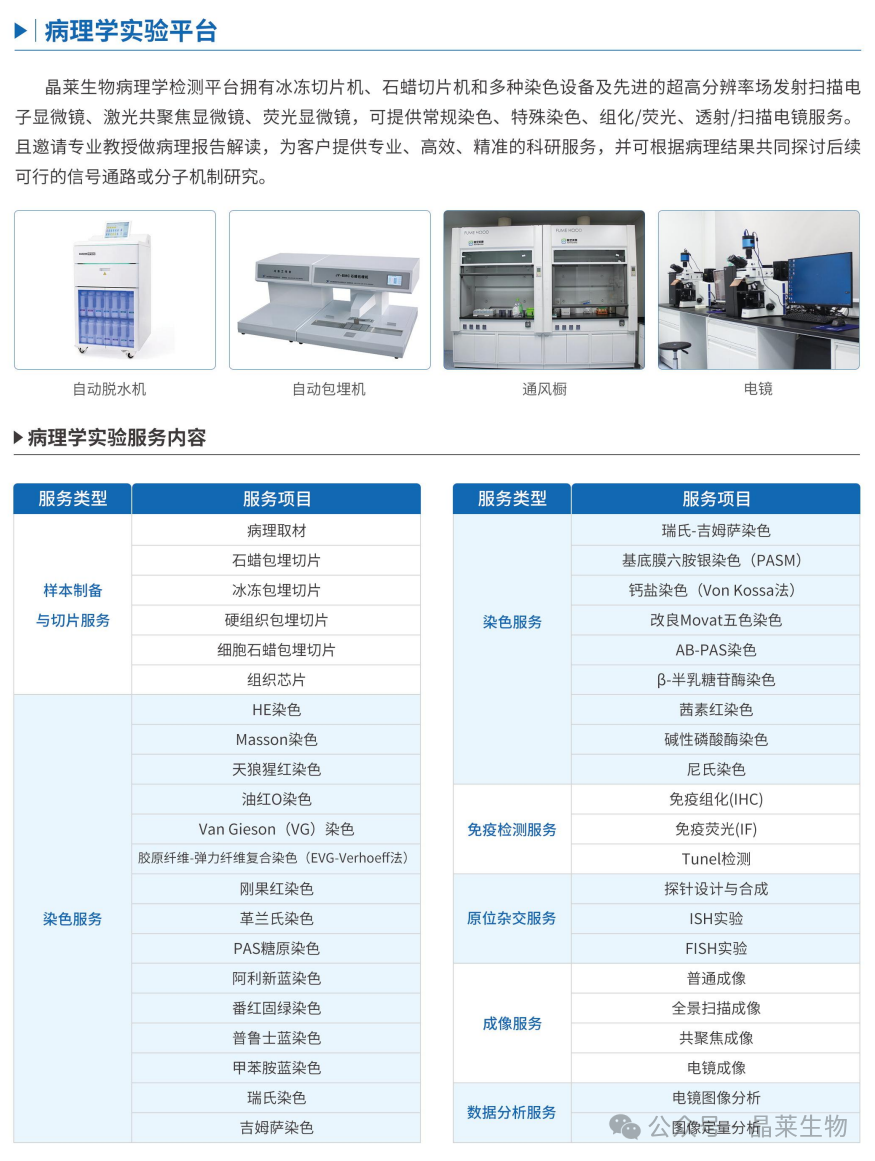 1766973118631703.png 03.png