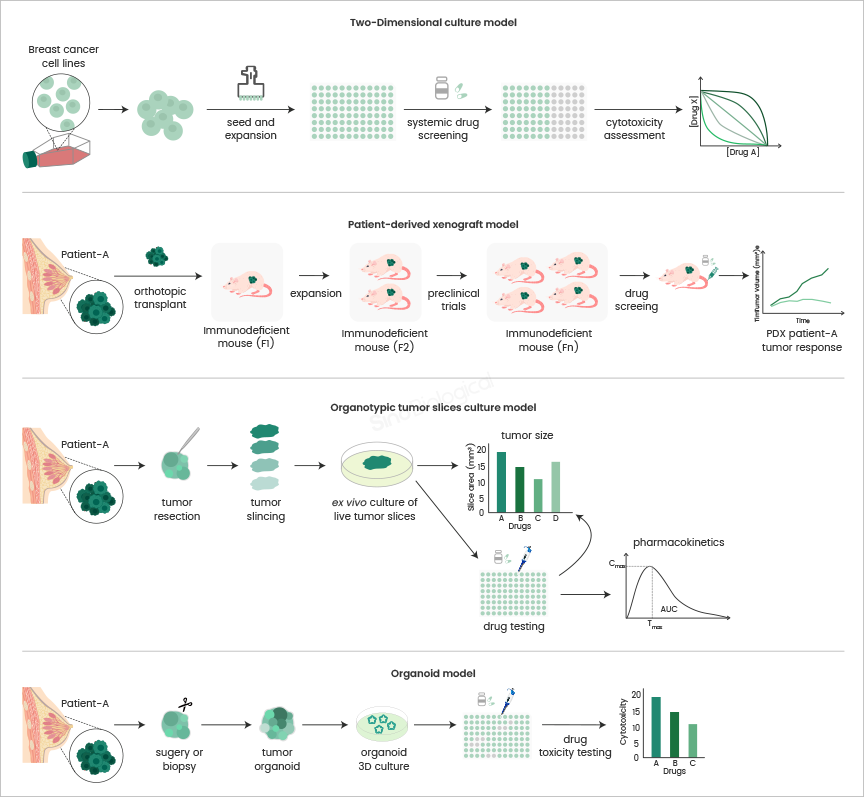 1767852753438589.png 1c77424da9a002d7018ca4bcaf6ec375_u387.png