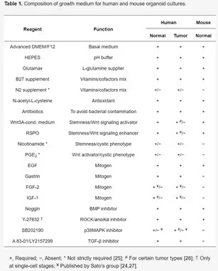 449bf800bc67ade21f243c52c84ca4b9521598076.jpg@614w (1).avif.jpg