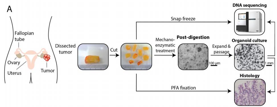 1767945436176242.jpg 68239f5b3f7ffe2ba63cfca678899438_2720993261216979961-68.jpg