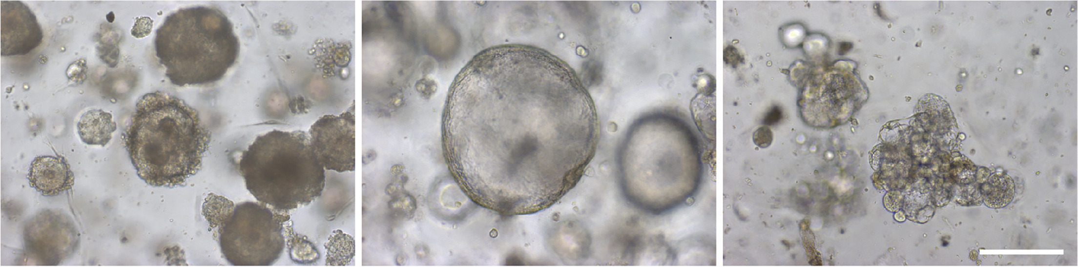 1767945461548999.png 61f4bc9c76ecbf067a3556420584faf9_0006161912879979961-68.png