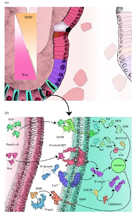 format,f_auto (2).jpg