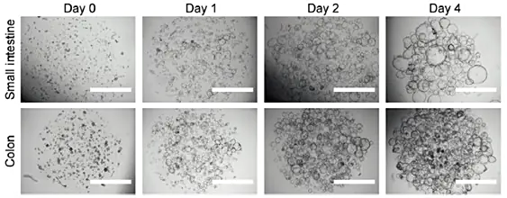 format,f_auto (4).jpg