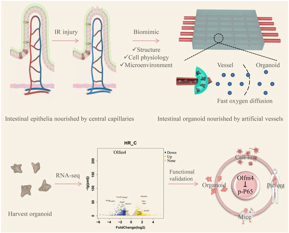 1772091943489854.jpeg 021071b8dcc617355cc410dc212bd16d_2ea1b4af2c174fa8b64d689792b7c920.jpeg