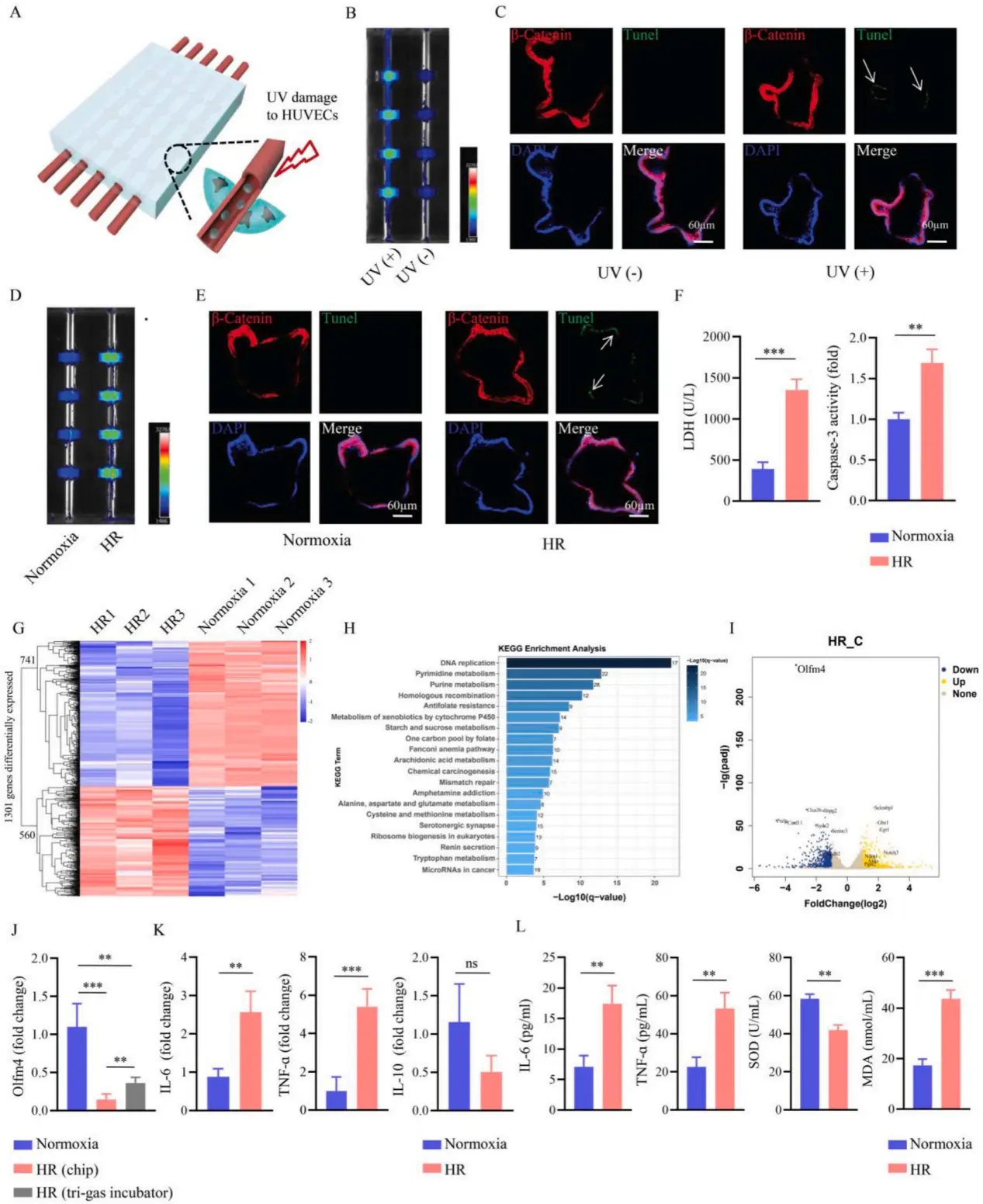 1772092191572423.png 34d082d7e6123a7d75030e4f2f5658c2_5d97e56a2bd24c298aac89b903f9bd6a.png
