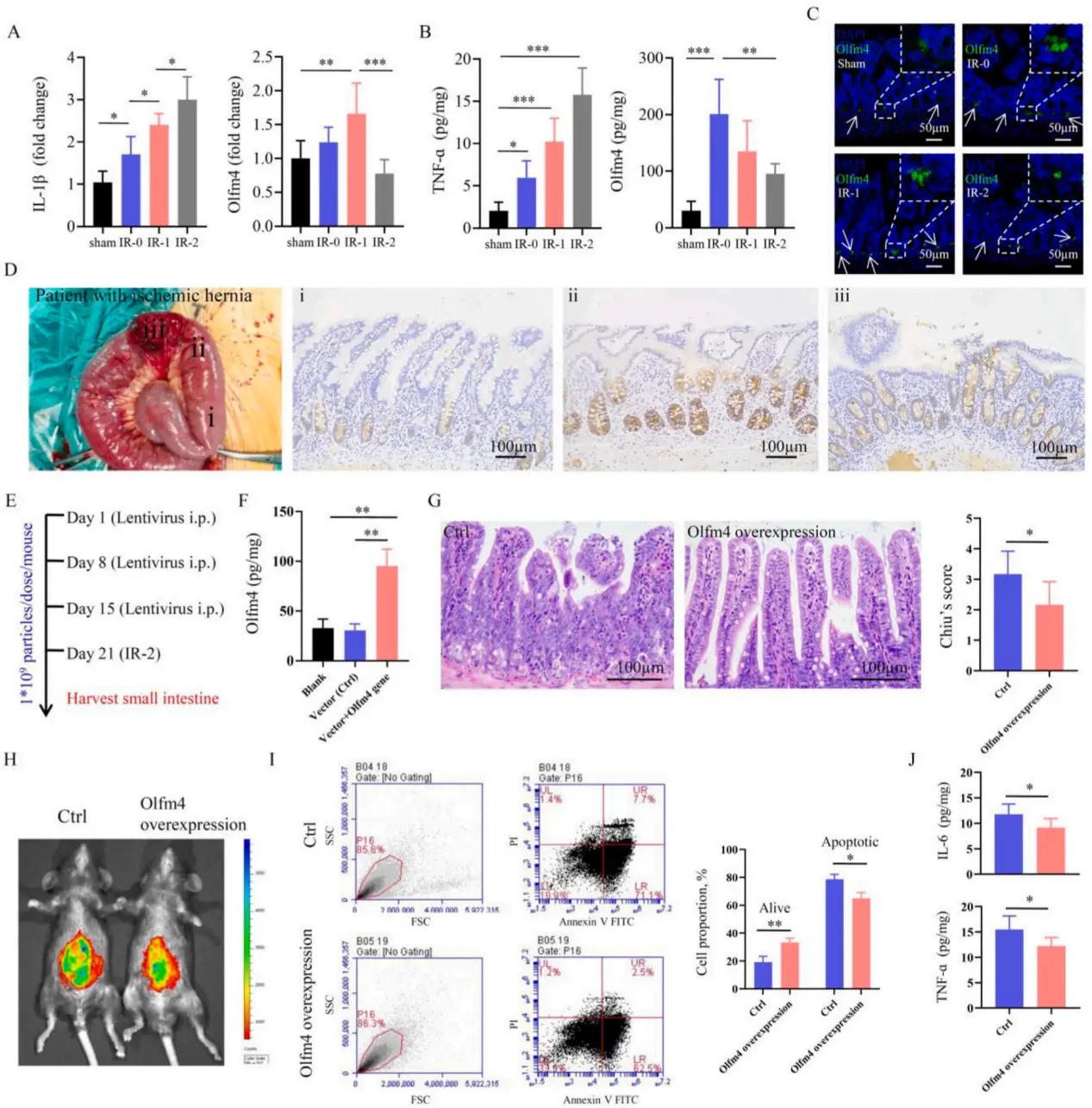 1772092215595673.png b10ebce0dee70828935e58272961acc2_aef356c8690e4f07a343b4a5b522f08c.png