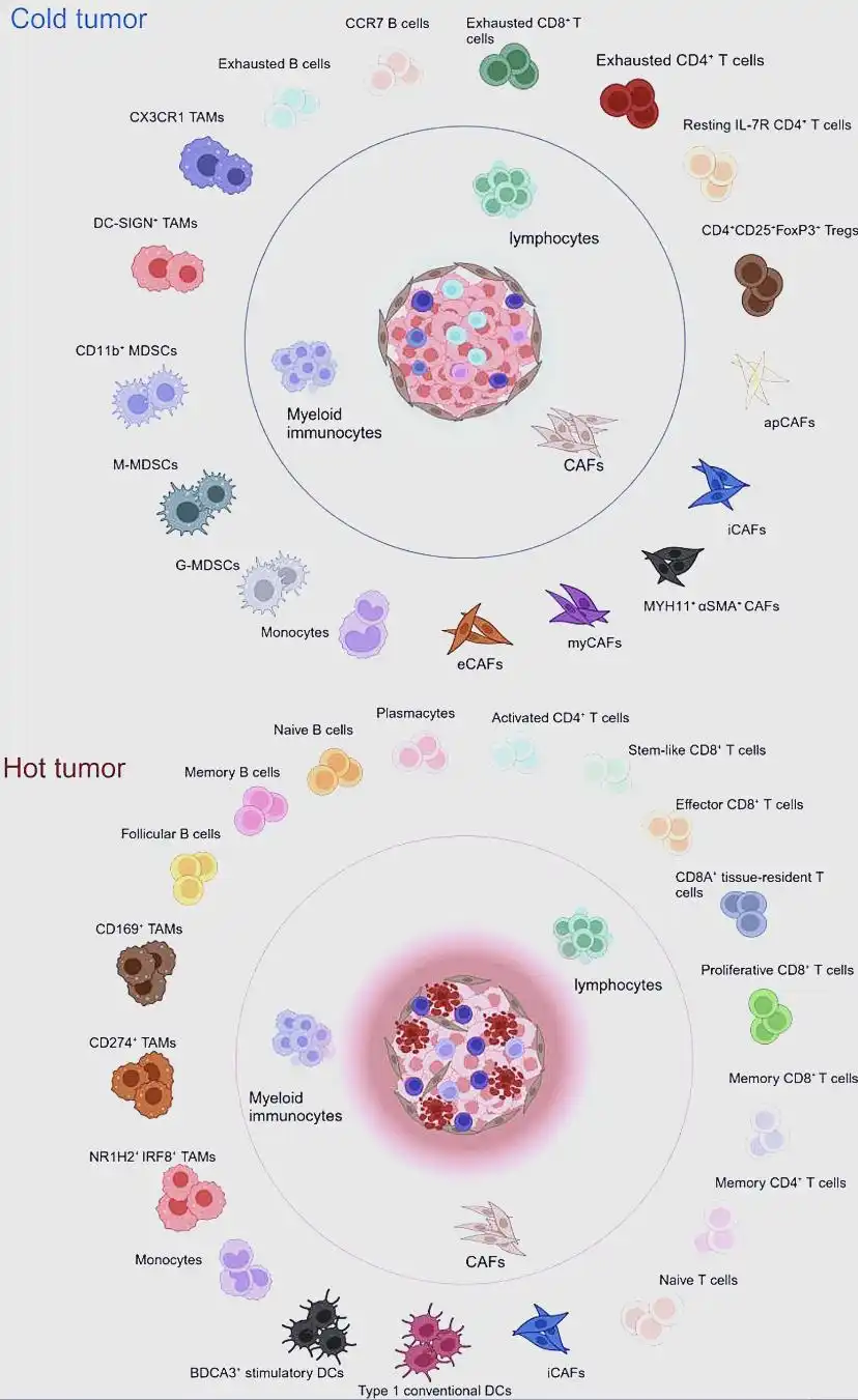 1773305840702194.jpg 267f9e2f070828382ba0a7fe75c863114d08f109.jpg