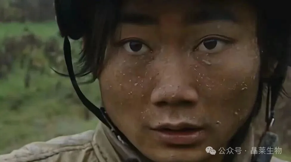 1775186213987190.jpg 2.jpg