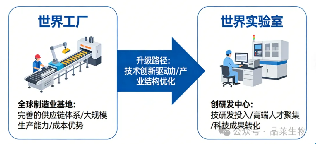 1775186670564754.jpg 6.jpg