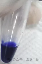 9.png