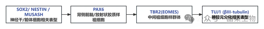 1784266681615591.png 4.png