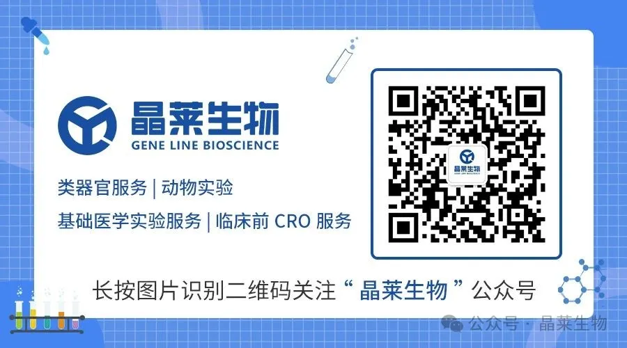 1785808829462370.jpg 尾图2.jpg